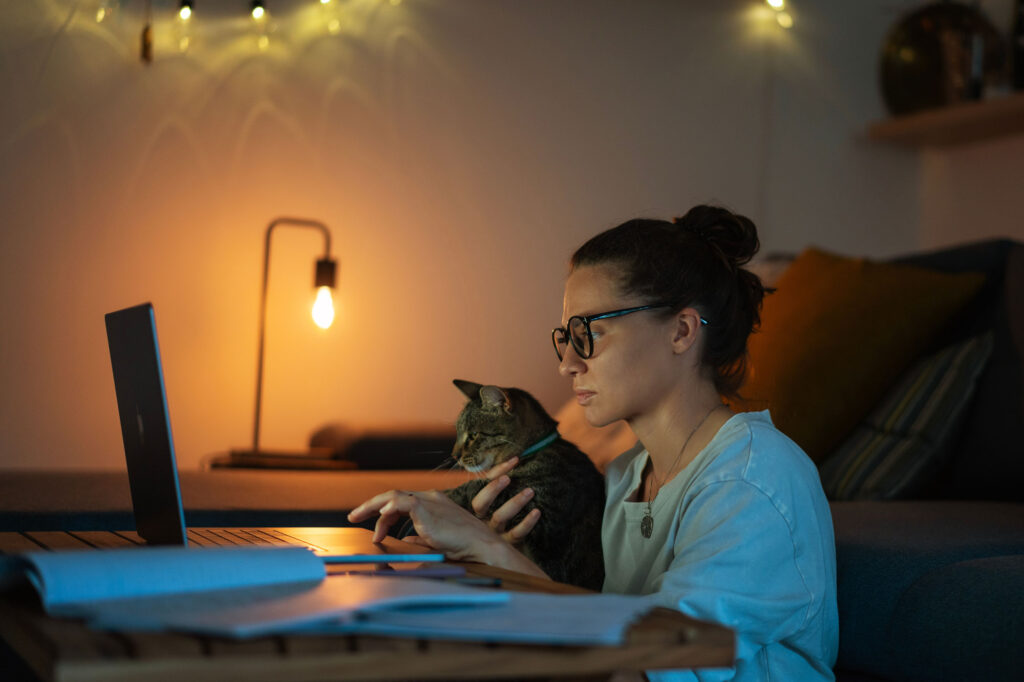 A woman wearing glasses works on a laptop at a desk with papers, holding a cat on her lap in a dimly lit room with string lights and a lamp.