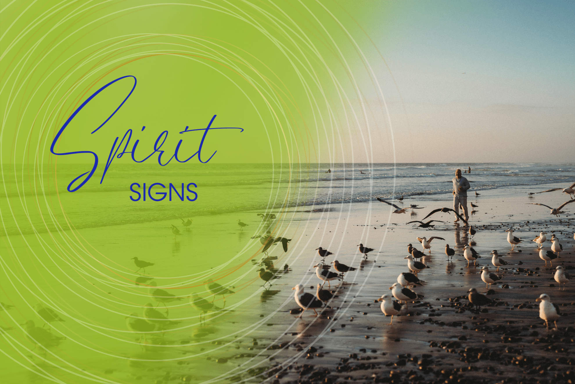 Spirit Signs – Short Course