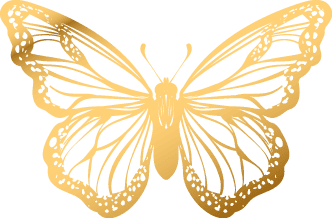 Gold outlined illustration of a butterfly with detailed wings on a white background.